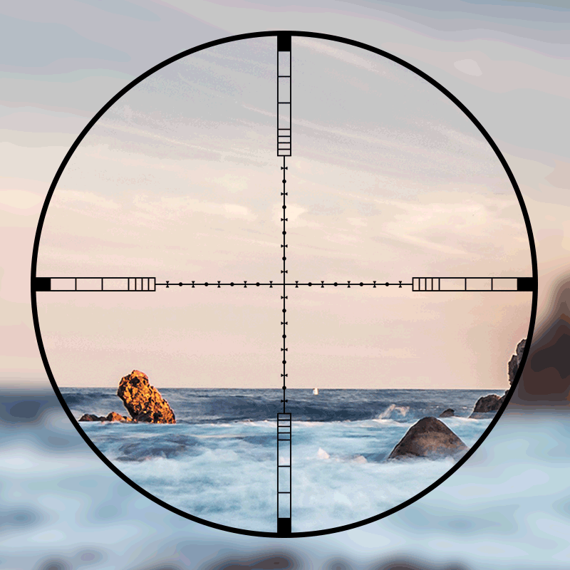 DIANA 4-16x44 Tactical Riflesc - Outdoor Hunting Rifle 评论和价格
